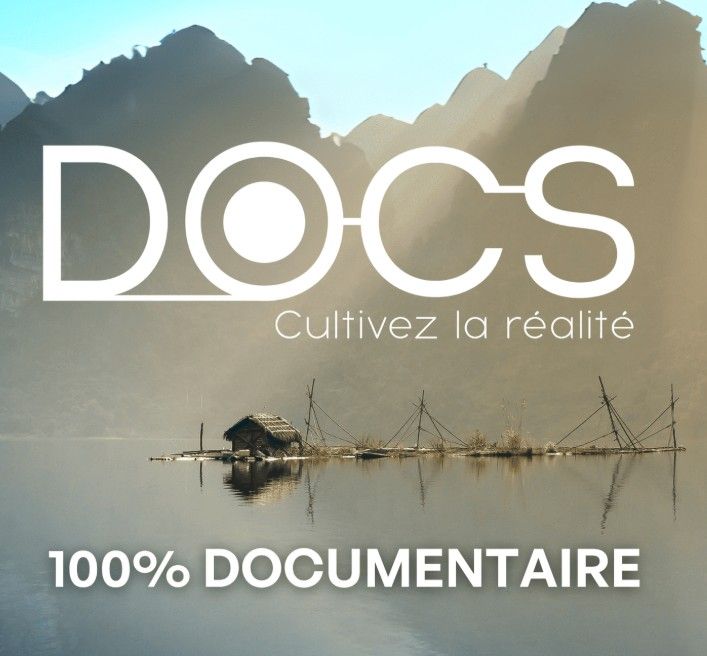 logo opsis docs
